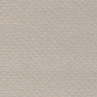 Cartón CANSON Mi-Teintes 60x80 gris 343