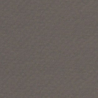 Cartón CANSON Mi-Teintes 60x80 gris 345
