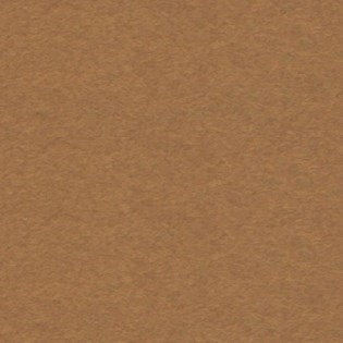 Cartón CANSON Mi-Teintes 60x80 tabac 502