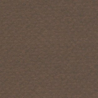 Cartón CANSON Mi-Teintes 60x80cm marrón oscuro 501