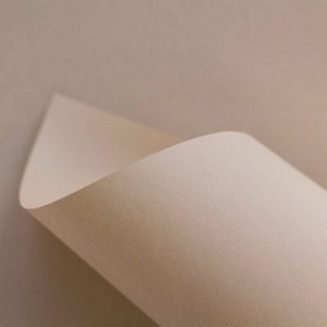 Papel SIRIO COLOR 170g 70x100cm cashmere