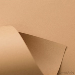 Papel SIRIO COLOR 170g 70x100cm bruno