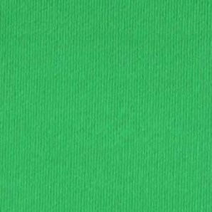 Papel LR COLORE 220g 70x100cm verde  111