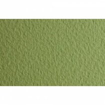 Papel TIZIANO 160g 70x100cm verduzzo 011