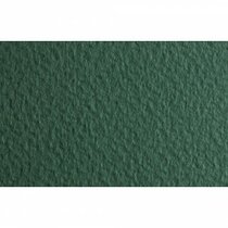 Papel TIZIANO 160g 70x100cm salvia 013