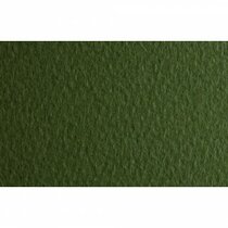 Papel TIZIANO 160g 70x100cm muschio 014