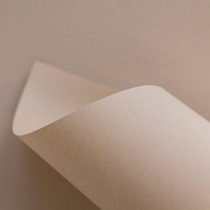 Papel SIRIO COLOR 170g 8.5x11" nude