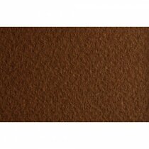 Papel TIZIANO 160g 8.5x11" caffe 009