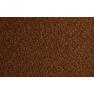 Papel TIZIANO 160g 8.5x11" caffe 009