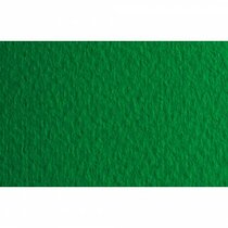 Papel TIZIANO 160g 8.5x11" prato 012