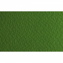 Papel TIZIANO 160g 70x100cm pistacio 043