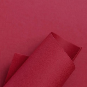 Papel SIRIO COLOR 80g 8.5x11" cherry