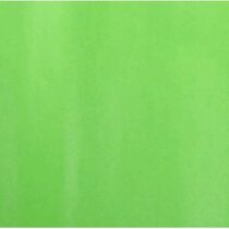 Papel de china SADIPAL 51x76 cm verd pál