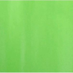 Papel de china SADIPAL 51x76 cm verde pálido