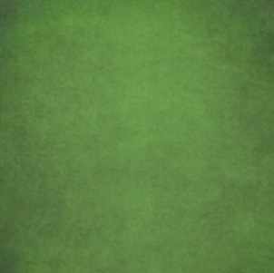 Papel de china SADIPAL 51x76cm verde oscuro