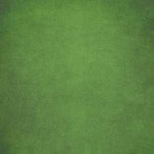 Papel de china SADIPAL 51x76cm verde osc