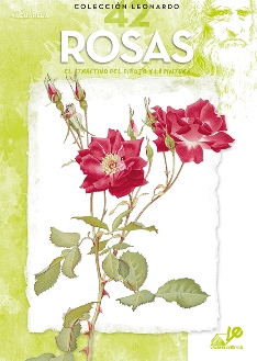 Guía  Pintando las Rosas    N.42
