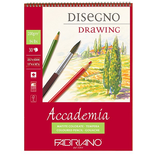 Papel ACCADEMIA FABRIANO 200g,blc 30h A3