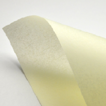 Papel PERGAMON 110g 8.5x11" ivory